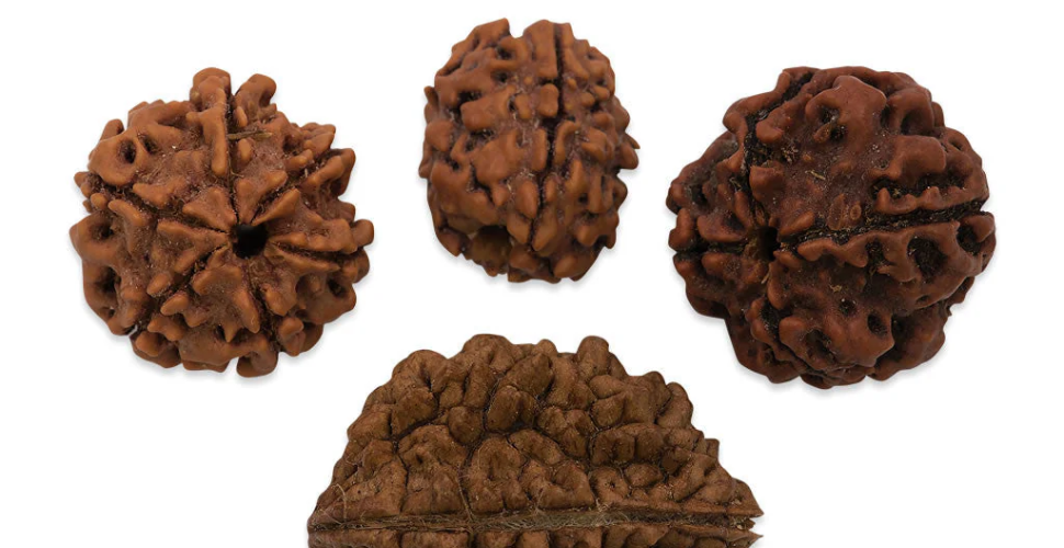 Rudraksha : The Bead of Peace, Growth & Protection